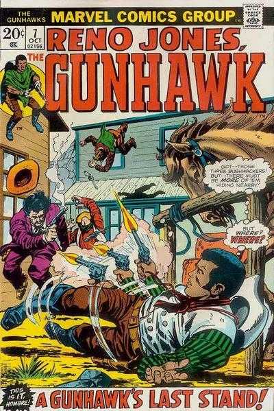 Gunhawks