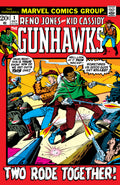 Gunhawks