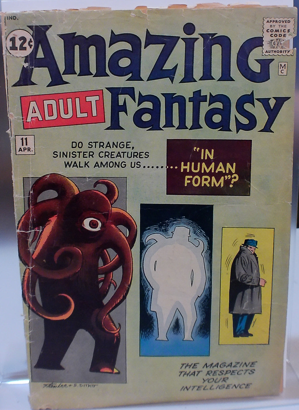 Amazing Adult Fantasy
