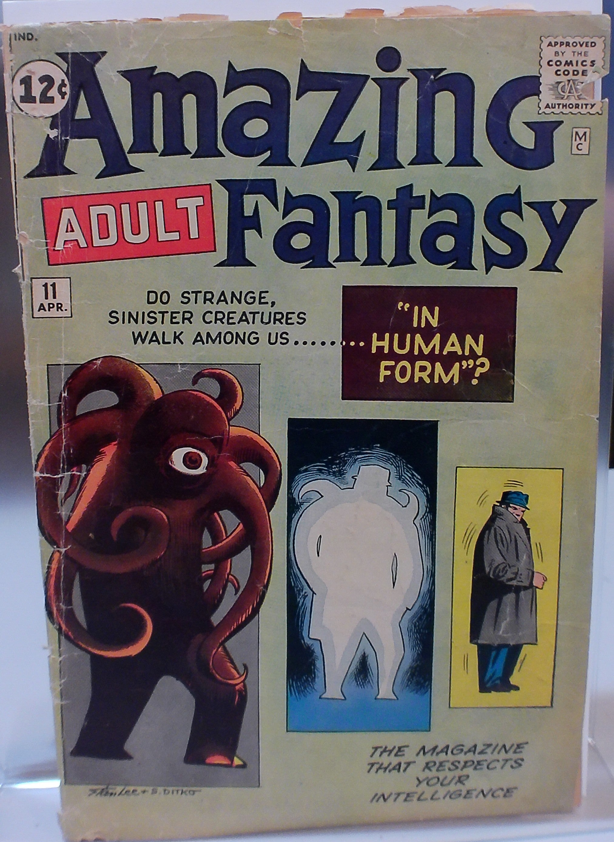 Amazing Adult Fantasy