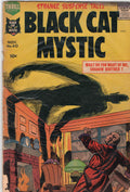 Black Cat Mystic