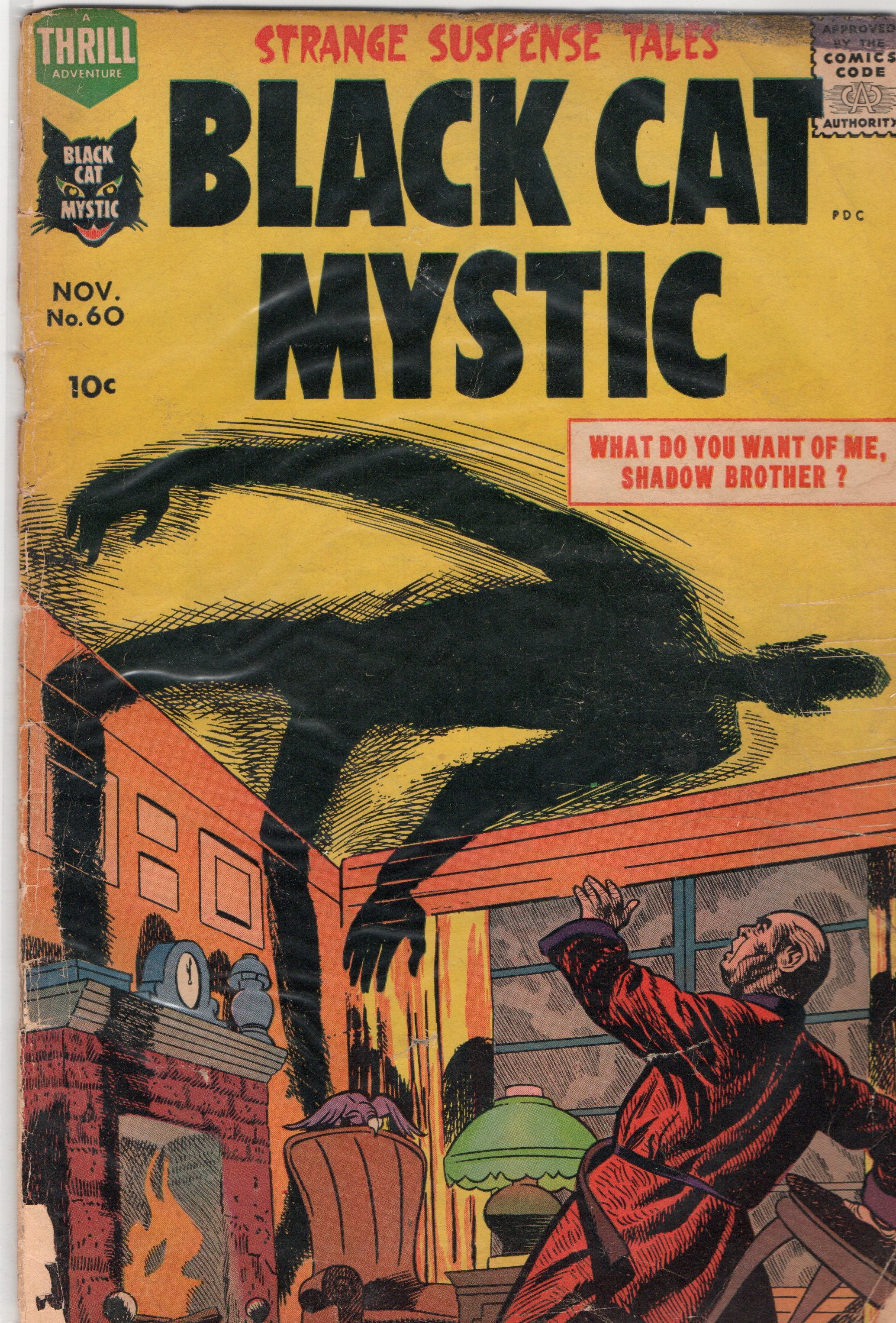 Black Cat Mystic