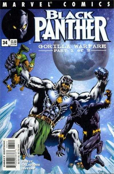 Black Panther (1998) 33 - 45