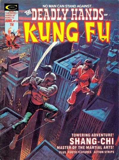 Deadly Hands of Kung Fu 13